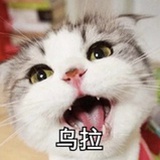 乌拉乌拉