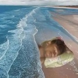 我真的晕了