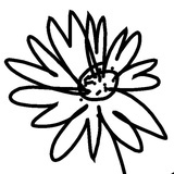小野花