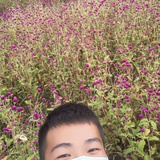 静心