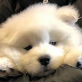 壹壹贰贰