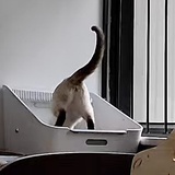 今天我上车了吗