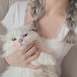 霁月