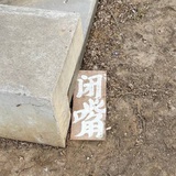 苘麻子