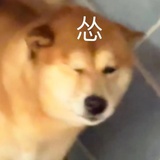 凉拌折耳根