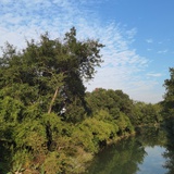 辛亏哭咯咯