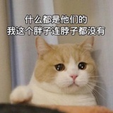 空欢喜