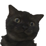 不不