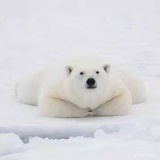 馒头