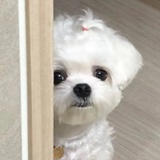 变态辣妹