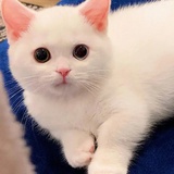 瓜瓜皮皮