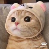 喵子的喵