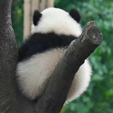 丝丝心动