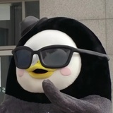 科科努力学法考
