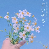 豆友205653314