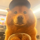 钱包阅读都鼓鼓