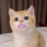 留白
