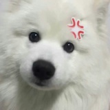 小ju