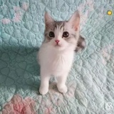 梦剧场
