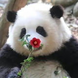 记得带眼镜