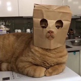 旺仔秋秋唐