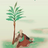 沈舒已
