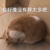 。。