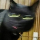 yyb