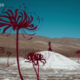阿树和阿无