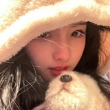 我又怎么你惹