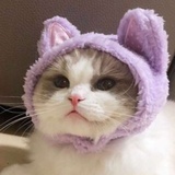 心如止水