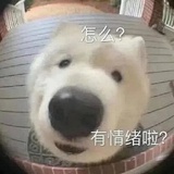 想要天天吃火锅