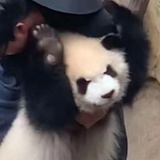 滴