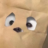 紫