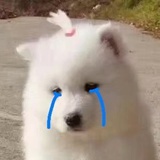 智慧小豆