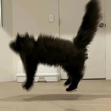 慢漫蔓