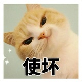 倪妮的小迷弟