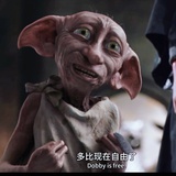 多比Dobby