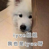 陈飞宇