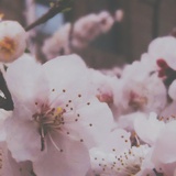 晚安