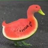 一只西嘎🍉