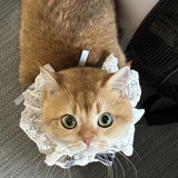 汽水