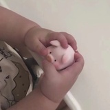 罗文姬小迷妹