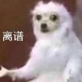 留守高地蔡文姬