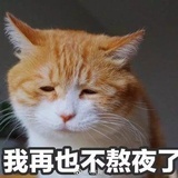 浮生裟椤不停