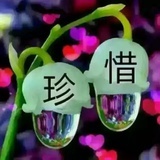 眉眼 👀 情愫💕