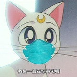 乌有之猫