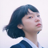 花落满城
