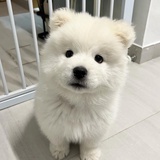 我只是爱排队