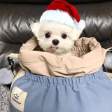 小熊胖尼🍿